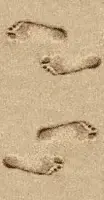 avatar_20723.webp