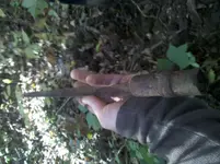 IMG_20101010_104033.webp