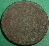 Picture.webp