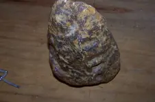 Treasure Hunting Finds 2010 019.webp