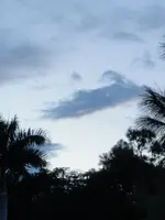 bonita springs 010.webp