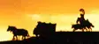 avatar_17678.webp