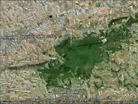 Welsh Mt.webp