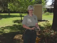 backyard 10.webp