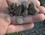 coins379.webp