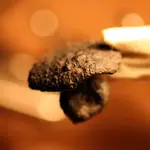 NC FINDS 8-26 013.webp