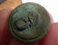 Eagle Button resized back.webp