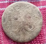US rosette front.webp