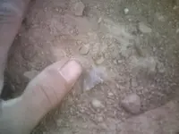 insitu.webp