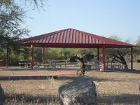 SDC10971.webp