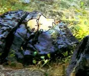 DSC01854_1_1.webp