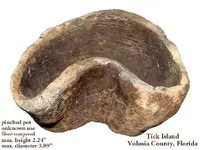 potpinchedtickislandA.webp