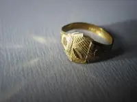 E Hftd. Ring Find 9-6-2010 (2).webp