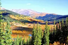 9-21a.webp