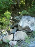 182_8240_r1.webp