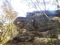 100_3603.webp