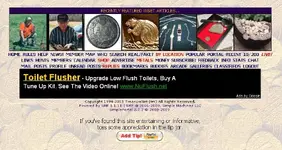 toilet flusher.webp