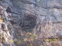 100_3713.webp