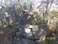 100_3600.webp