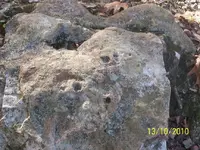 100_3595.webp