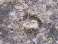 100_3607.webp