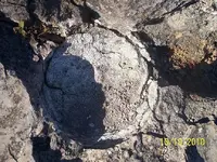 100_3629.webp