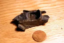 NC FINDS 9-12 015.webp