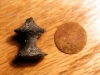 NC FINDS 9-12 014.webp