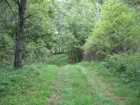 IMG_9120_1_1.webp
