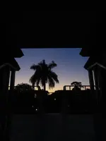 night shots 003.webp