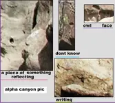alpha canyon.webp