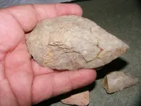 DSCF1355.webp