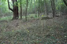 100_2556.webp