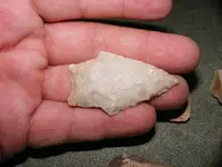 DSCF1363.webp