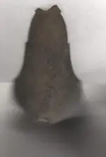 Brown Bess butt plate 003.webp