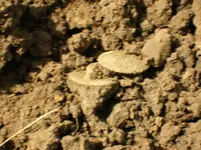 Cuffs in dirt.webp
