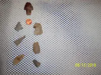 100_0811.webp