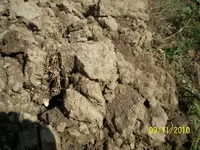 100_0803.webp
