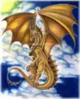 avatar_6629.webp