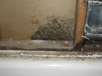 Number 5 bathroom 044.webp