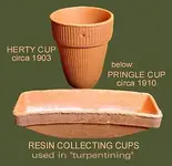 hertycup.webp