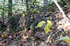 NC FINDS 10-19 004.webp