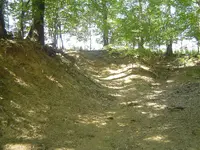 Buffalo Trails 010.webp