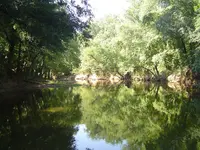 Buffalo Trails 012.webp