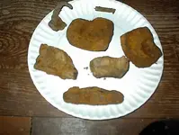 DSC00055.webp