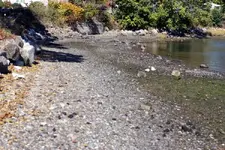 NC FINDS 10-19 002.webp