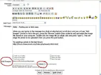 Posting a Pic.webp