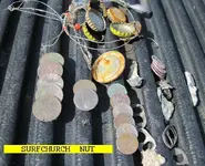 95NUT.webp