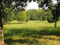 PICT0061.webp