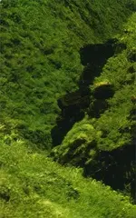 Pareidolia Project-809_jfk.webp Pareidolia Project-809_jfk.webp